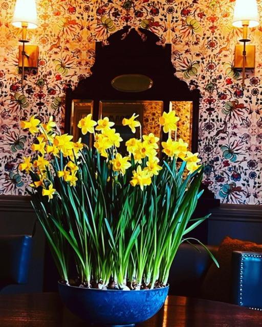 House Hotel Moffat
